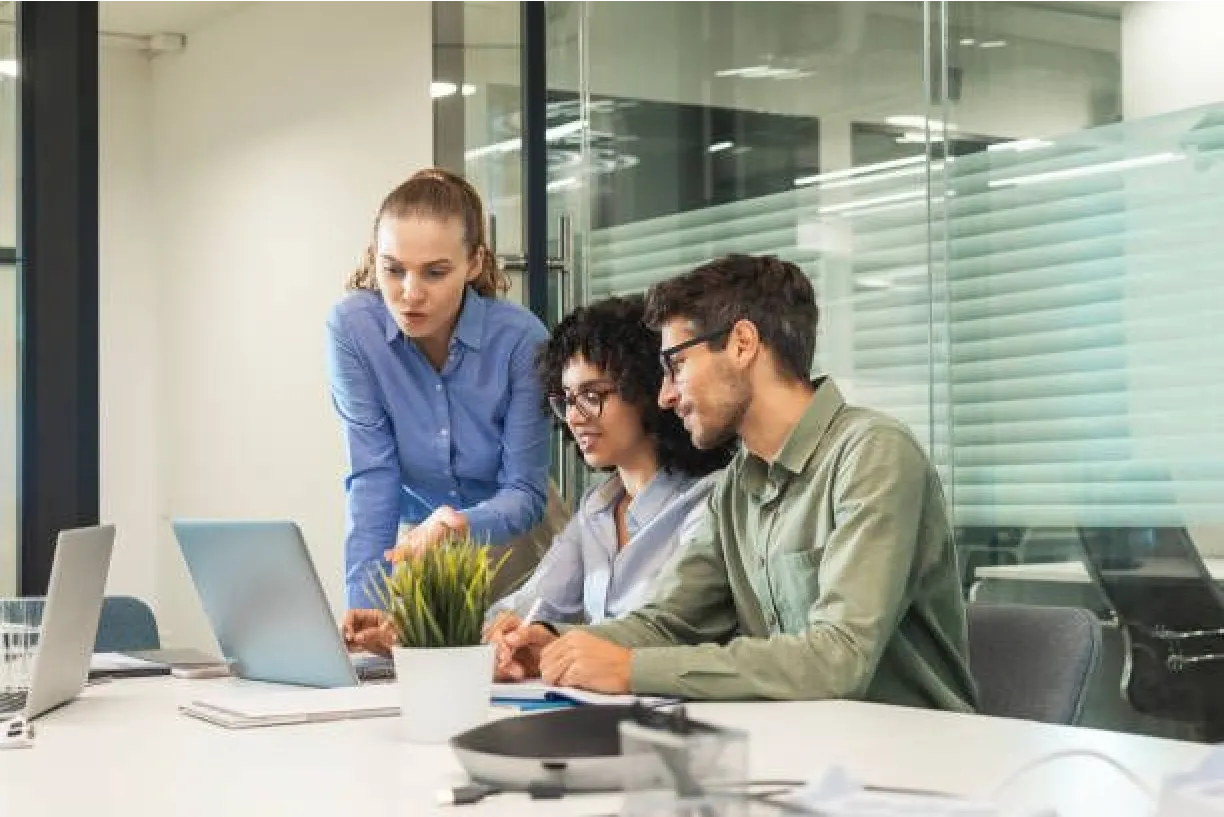 Kompetenz-Roadmap und Lernpfade